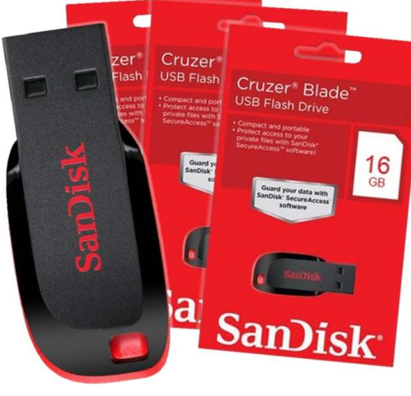 Flash Disk